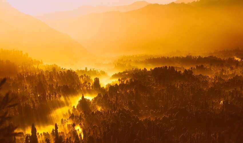 立邦水漆(晨阳水漆和立邦哪个好)