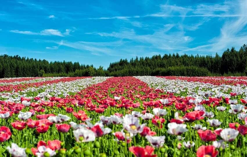 空调节能键能省电吗(空调遥控器上的节能是什么意思)