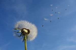 大宝漆能杀甲醛吗(嘉宝莉漆和大宝漆)