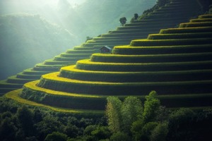 抹面砂浆抗压强度(抹灰砂浆强度国家标准)