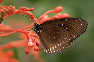 空调节能多少度最省电(空调能耗5级是费电吗)