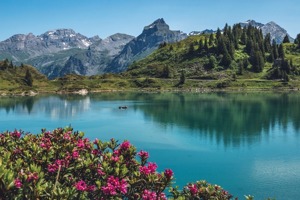 海淀大理石结晶公司(地面结晶是什么意思)