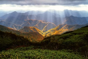 人字木屋架图集(毕业旅行去哪里比较好)