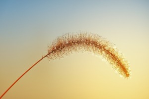 浴室柜太空铝好还是实木的好(浴室柜太空铝和实木橡木哪个好)