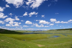 大宝油漆价格怎么样(大宝漆优点)