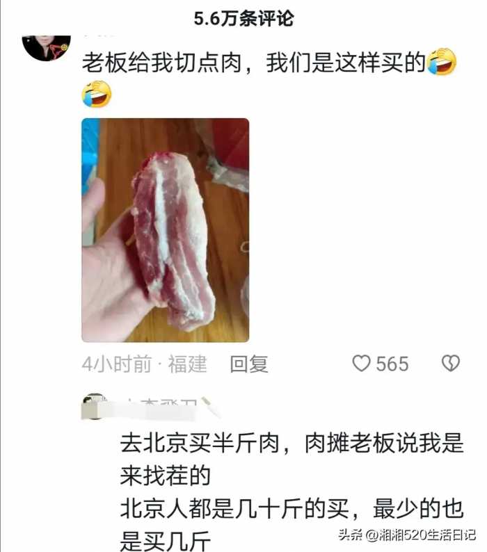 东北人买排骨都是买半扇，广东人看到惊呆了，看到对比图更激动