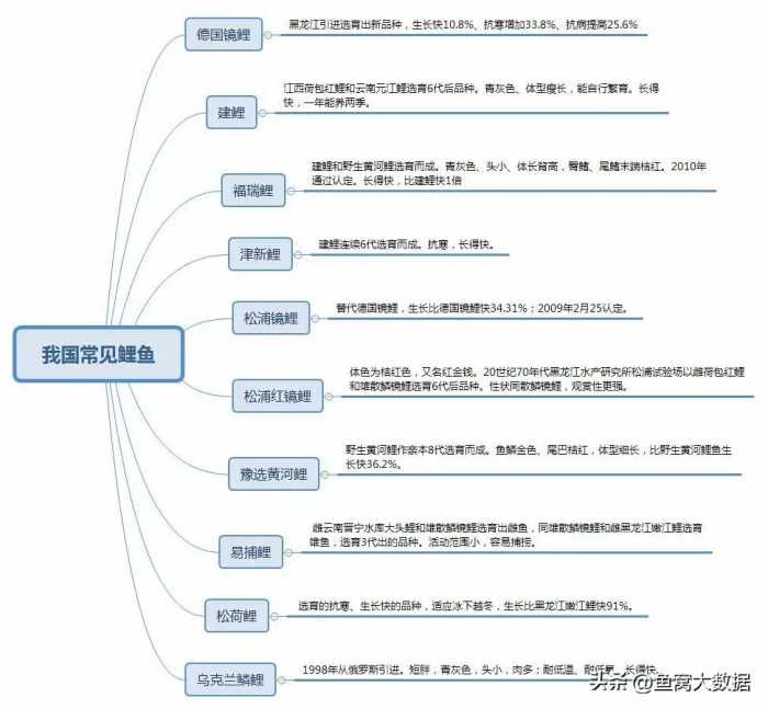 短短30年，黄河鲤鱼就从河南人餐桌上的家常菜，到基本绝迹了