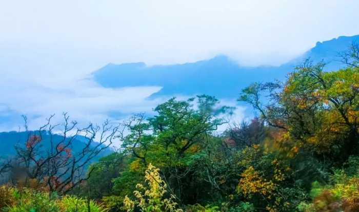 适合小住几天的最美慢城，走进风景里，过最惬意的慢生活！