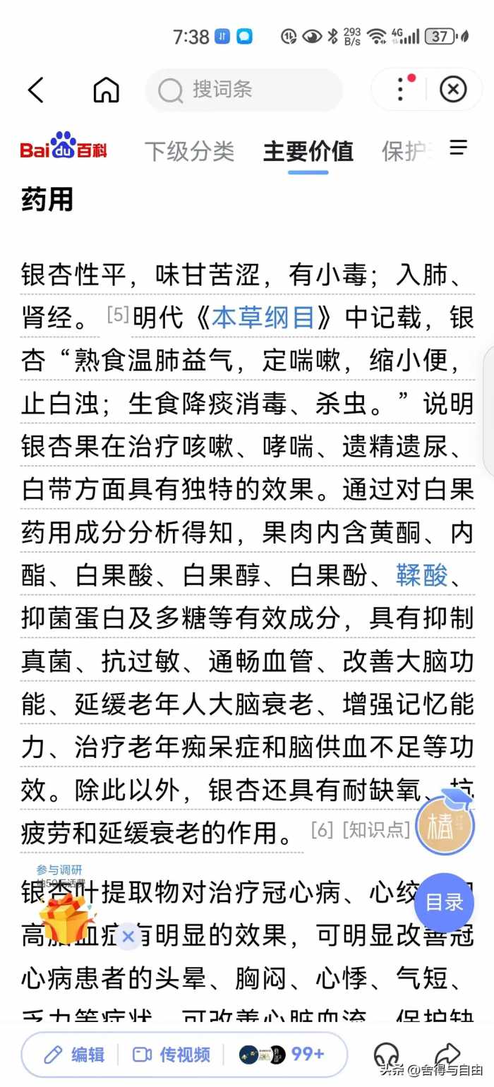 我决定长期吃白果，用事实解读本草纲目