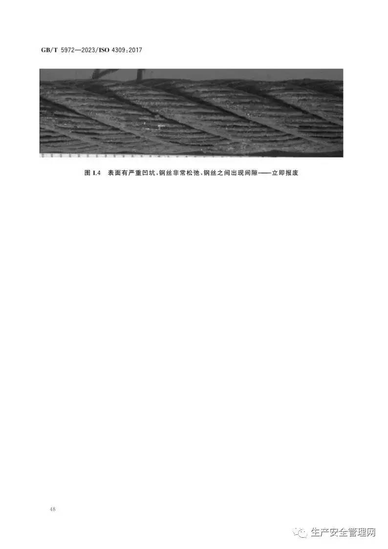 【pdf】GB T 5972-2023 起重机 钢丝绳 保养、维护、检验和报废