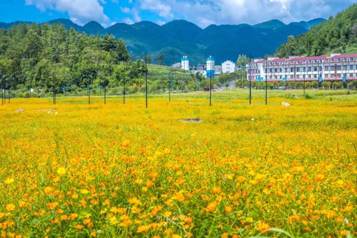 重庆奉节：因三峡大坝整体搬迁的县城，是一个被忽略的旅游胜地