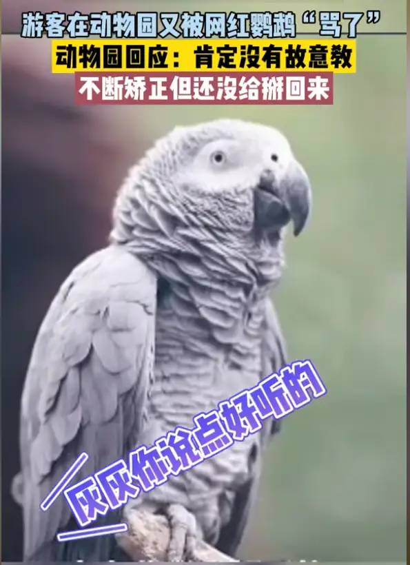 笑不活了！2023十大奇葩新闻，个个都是人才，肯定有你没看过的