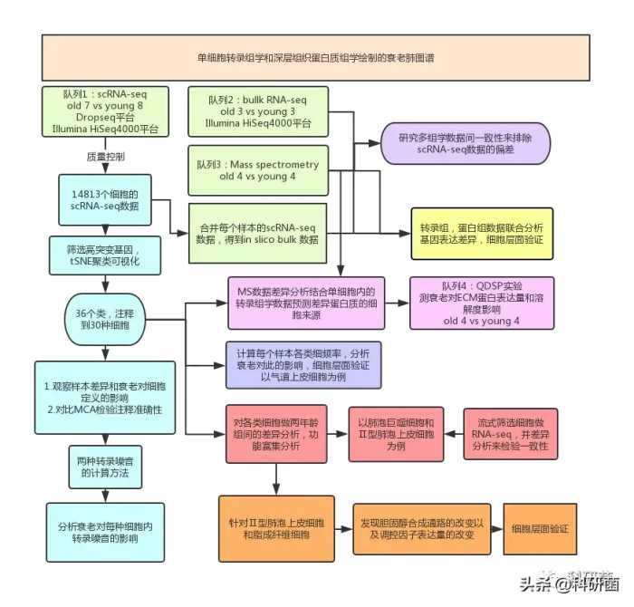 这篇11分文章还留了个宝藏给你