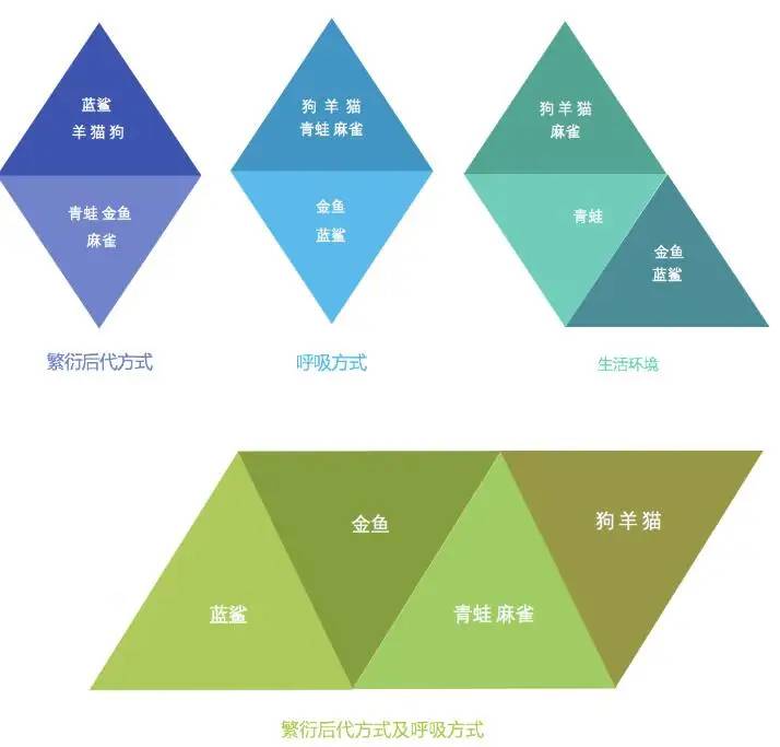 认识聚类算法【机器学习必学】