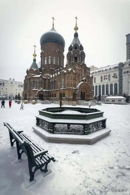 去哈尔滨旅游回来，这些话憋在心里难受，还是说了出来