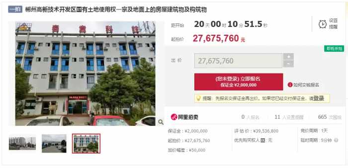 2767万！郴州高新区春意公司资产司法拍卖