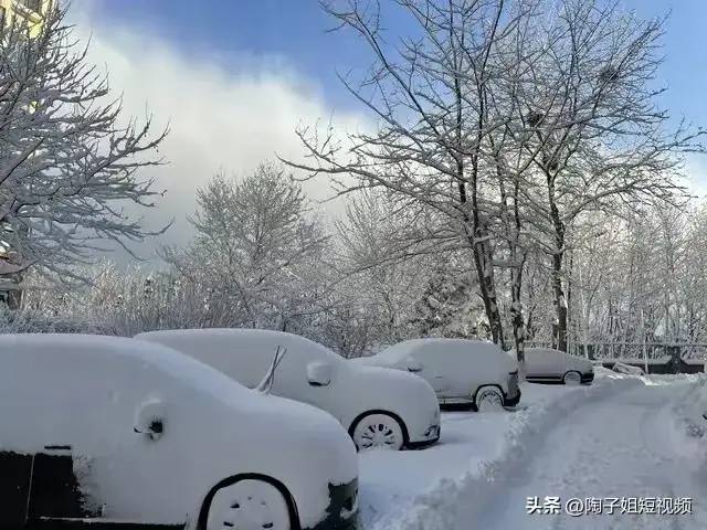 一场大雪，彻底撕下新能源汽车的“遮羞布”，车主：苦不堪言