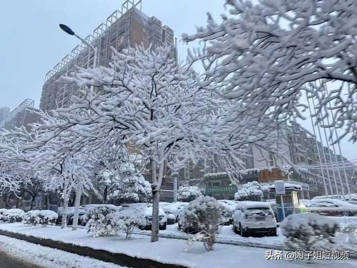 一场大雪，彻底撕下新能源汽车的“遮羞布”，车主：苦不堪言