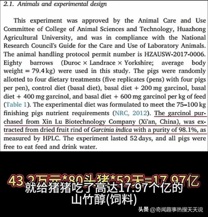 华中农大黄教授论文造假细节曝光：80头猪52天饲料费高达17.97亿