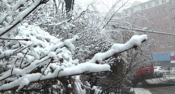 紧急通知！山东省即将两场大到暴雪！明天开始新一轮强降雪开启