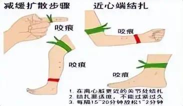 被广东省“省毒”包围，男子钓鱼遇5条！毒性是眼镜王蛇10倍！