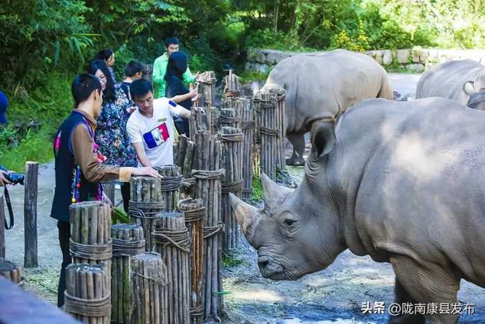 中国冬季最温暖的5座城市，平均22℃以上！带上家人去旅游吧