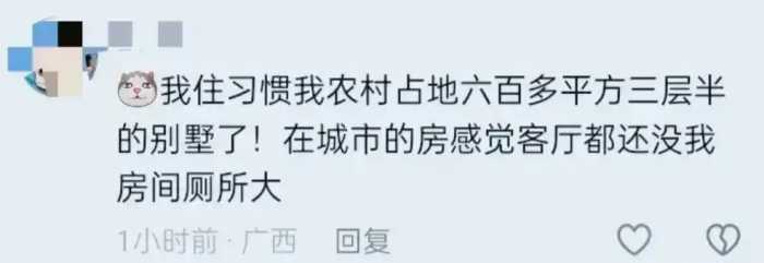 年轻人终于清醒了，纷纷回老家盖洋楼！专家急了：继续做农民吗？