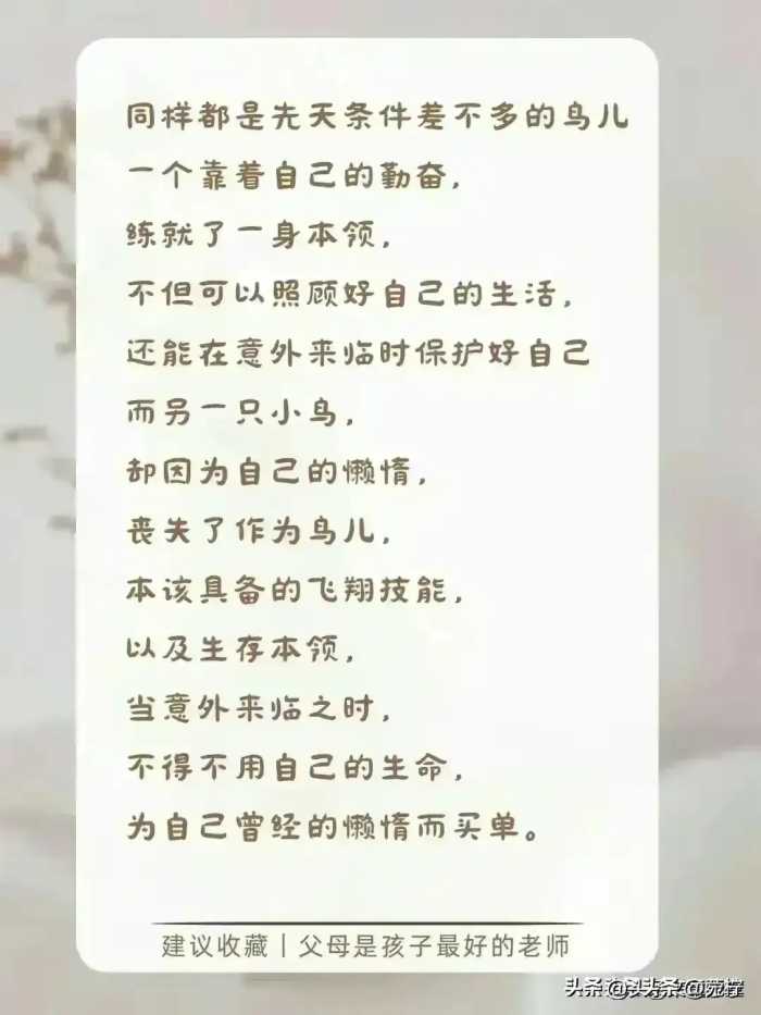 董宇辉:当孩子缺乏自律时，就和他讲讲“懒鸟效应”，收藏了