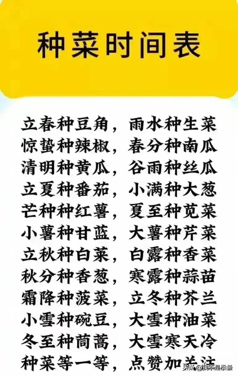 终于有人把人均寿命超过80岁的城市，整理出来了，有你的城市吗？