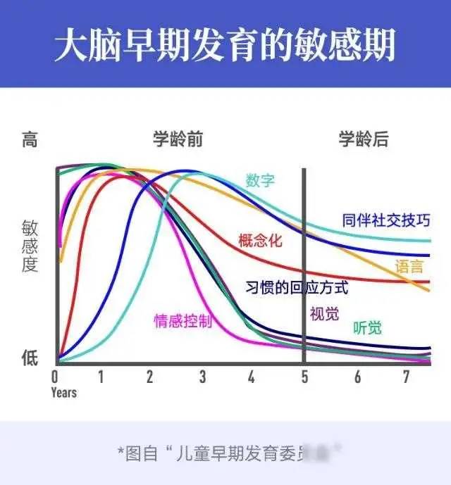 头上两个旋揭秘：科学证实，智力更与教育环境和营养有关！