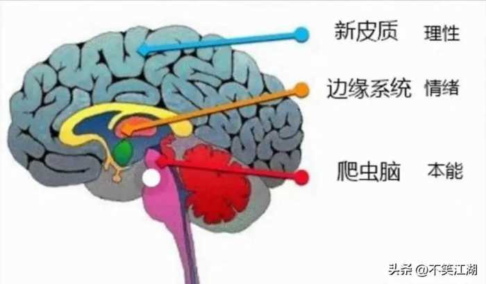 人的寿命越长越好吗？研究发现：其实65岁至70岁的人是最幸福的！