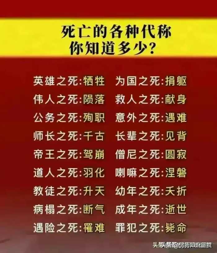 孩子的优秀基因主要遗传谁，不知道的收藏起来看看，涨知识了。