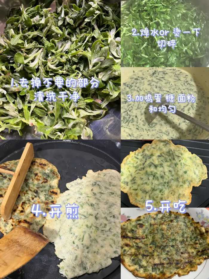 春天里的“草中燕窝”，现在采摘正当时，用途很强大，大家都在吃