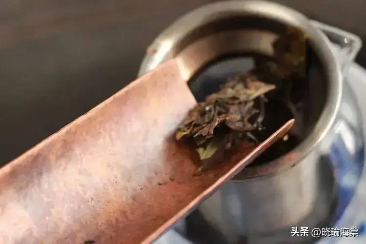 “反向喝茶”不可取，奉劝爱喝茶的人，尽量远离喝茶时的4个误区