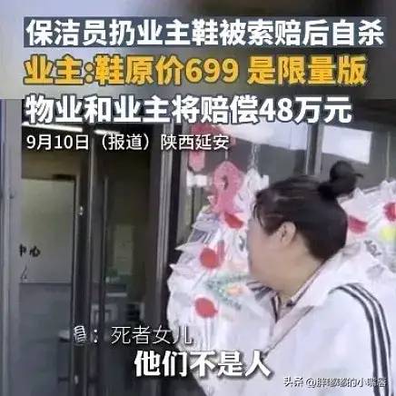 网传保洁扔699元限量鞋，被业主索赔一万元，保洁自杀身亡引热议