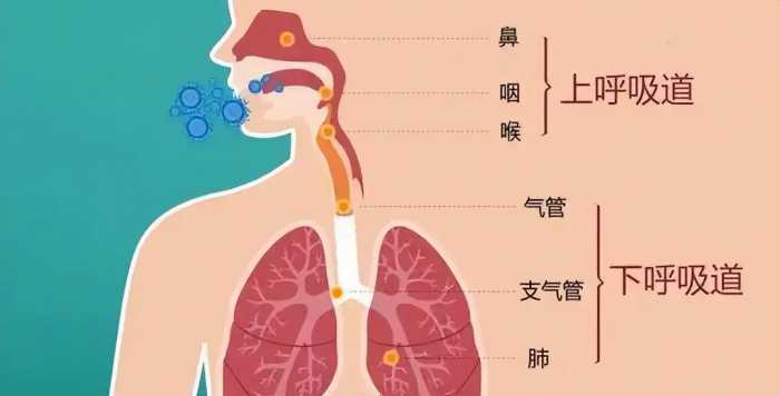 别再给孩子吃了！3种一吃就生“痰”的食物，加重咳嗽没商量