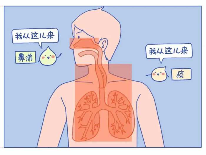 别再给孩子吃了！3种一吃就生“痰”的食物，加重咳嗽没商量