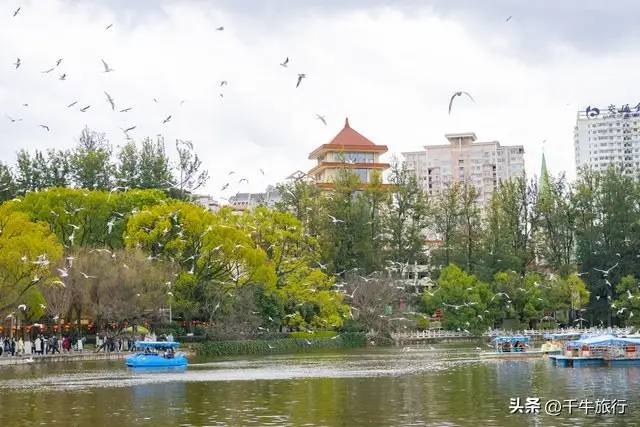 4月份最适合去的20个地方，去过10个算合格，去过18个算旅游达人