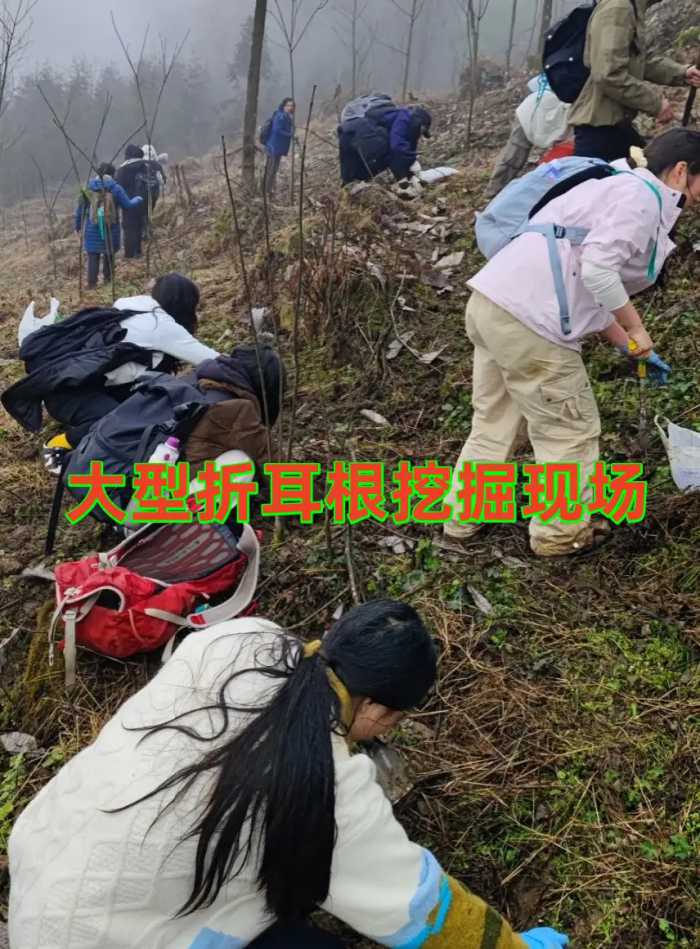 实在太“疯狂”了！成都人的生活模式，外地人真的学不会！