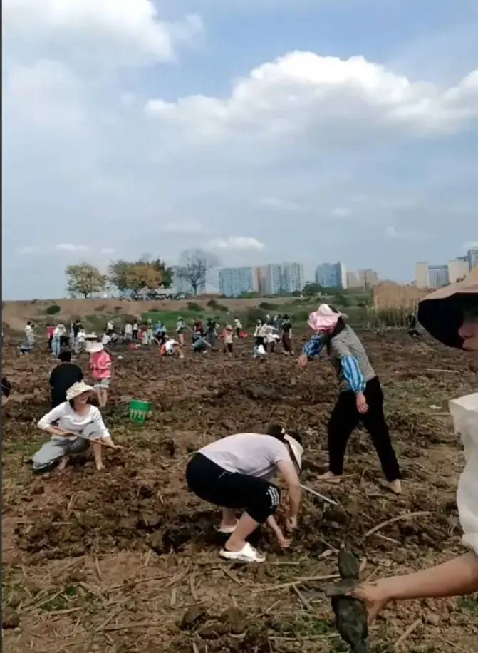 实在太“疯狂”了！成都人的生活模式，外地人真的学不会！