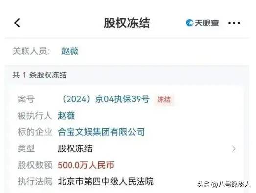 赵薇股权再遭冻结！原来她干的“丑事”，远比你想象得更加恶劣