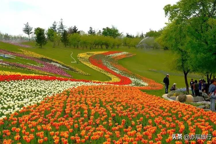 辽宁五一旅游景点排行，辽宁春天去哪里玩，辽宁十大春游好去处