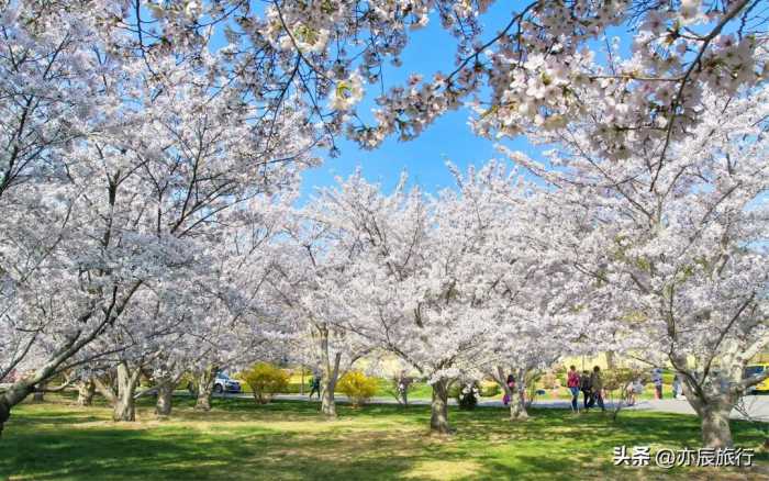 辽宁五一旅游景点排行，辽宁春天去哪里玩，辽宁十大春游好去处