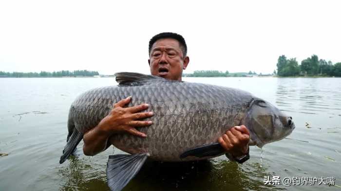 垂钓界的传奇人物李大毛，由钢铁厂工人成功转型，成钓鱼圈的红人