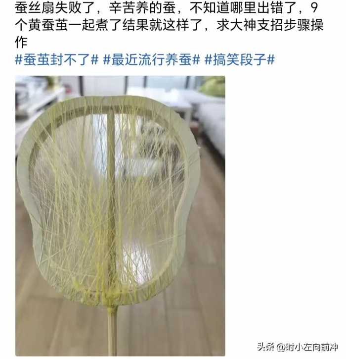 全网都在做蚕丝扇，我也有8个茧子，就是不知道蚕丝扇有啥优点吗