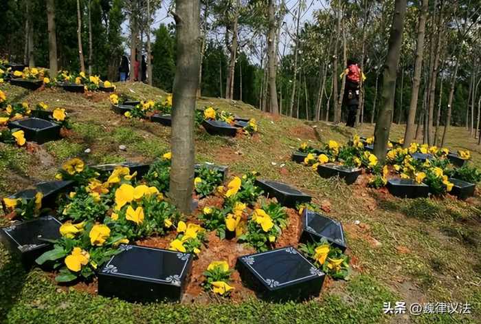 英国要开始“水葬”：沸水煮遗体4小时彻底融化，比火葬更环保