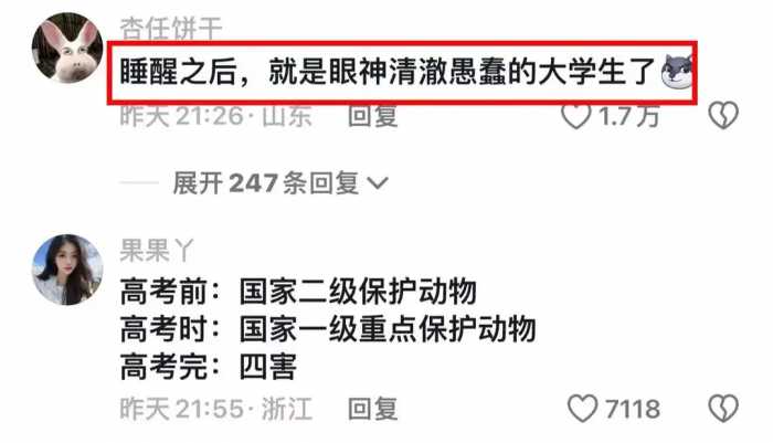 高考完事了，从昨天一直睡到现在，根本醒不来，网友评论笑死我了