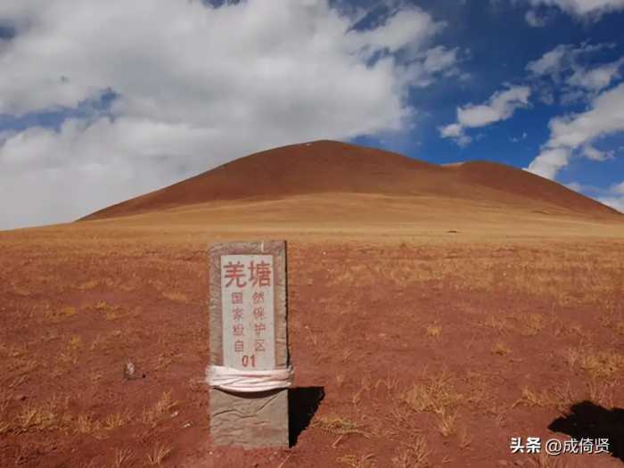 20年女大学生徒步前往可可西里，全身遭到野兽啃食，她经历了什么