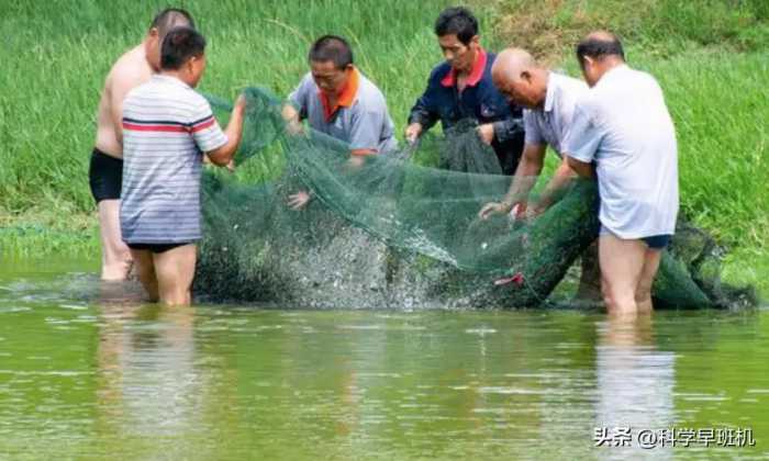 长江禁渔十年，却不禁止钓鱼？为何要对钓鱼佬“特殊优待”呢？