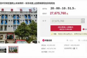 2767万！郴州高新区春意公司资产司法拍卖